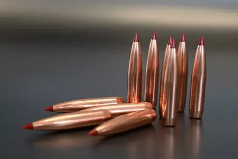 Load data by bullet