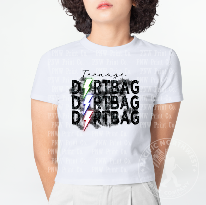 Thumbnail: Teenage Dirtbag Lightning Bolt - DTF Transfer