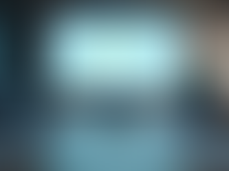 Inside Bravix Consulting Expertise Unveiled