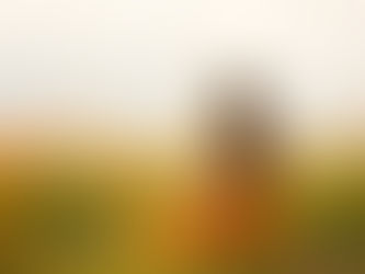 Inspiration Is Everywhere