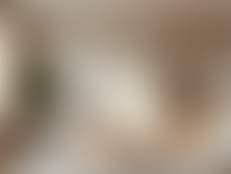 Transform Spaces with Expertly Applied Paint Finishes