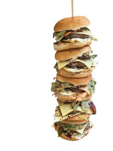 Photo 24-07-2025, 11 47 04 tall stack-fotor-bg-remover-20250727153829_edited.png