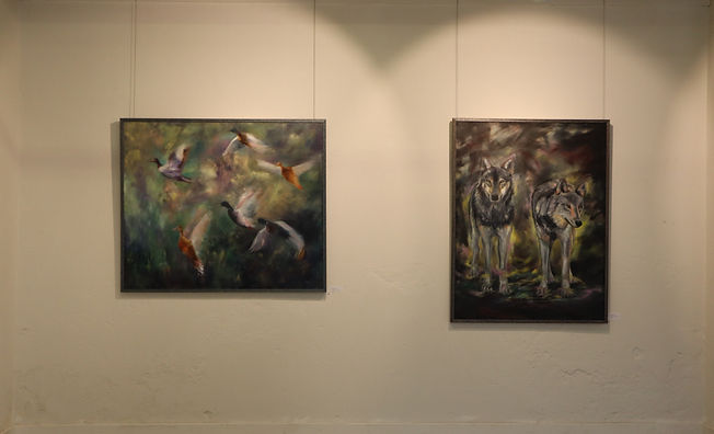 Sylissä metsän ja tuulien näyttely,Salon