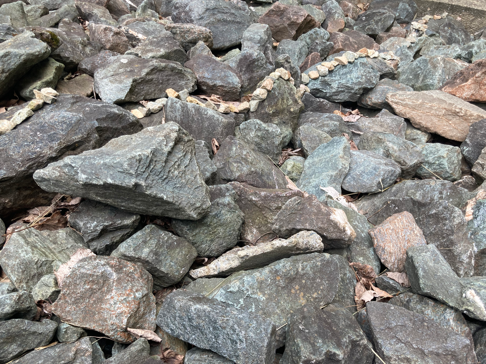 Force tranquille par Clémence Vandycke