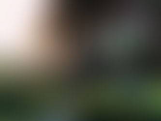 bali spa resort massage