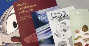 Plataforma Zebrafish promove ações para crianças e adultos
