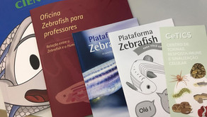 Plataforma Zebrafish promove ações para crianças e adultos