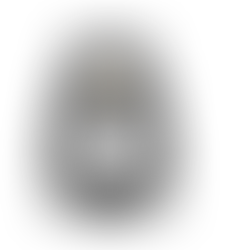 Táxi Curitiba Executivo PR