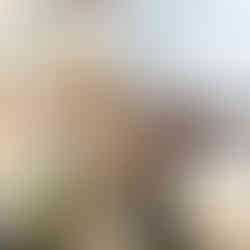 כנס מיאסטניה גרביס 2024