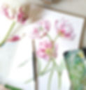 Tulips.jpg