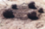 天・地・人 Cosmos, Land, Men