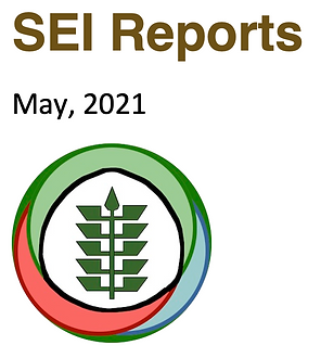 SEI Reports logo sq issue.png