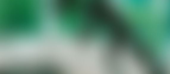 De mens als verhaal – met een kleine dinosaurus in de inkomhal