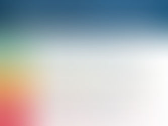 Charter Renewal and Board Vision and Strategic Goals