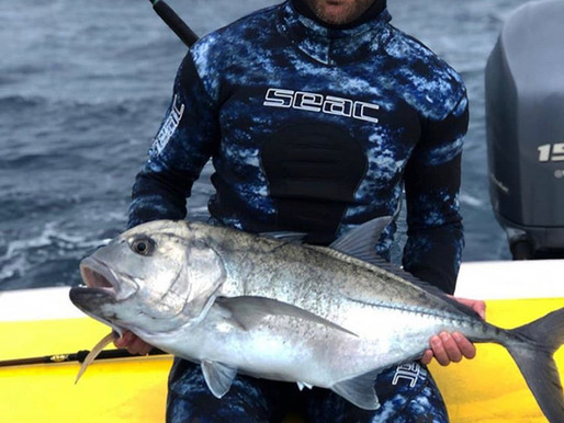 Freediving on Catalina Island
