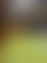 Spannender Saisonauftakt der U19-Landesliga: Salzburg Knights vs. TV Zell am See