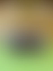 Lehrreiches Turnier für unsere U14