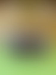 Lehrreiches Turnier für unsere U14