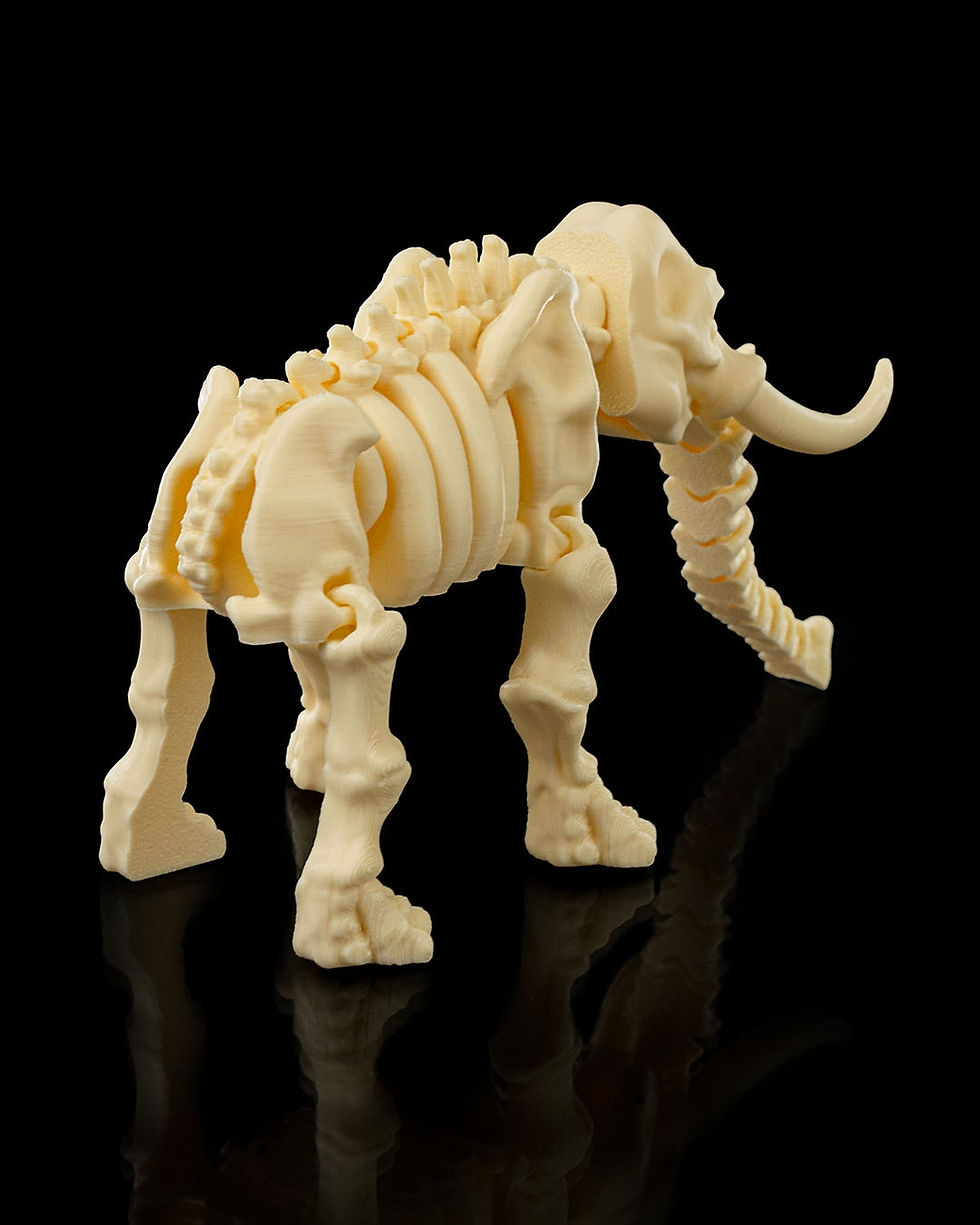 Thumbnail: Skeleton Elephant