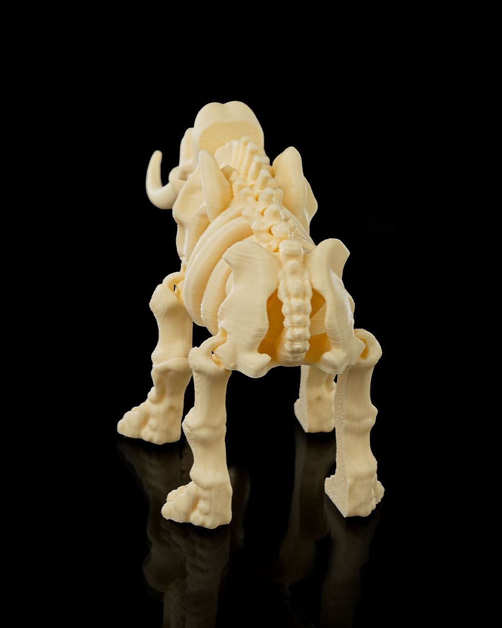 Thumbnail: Skeleton Elephant