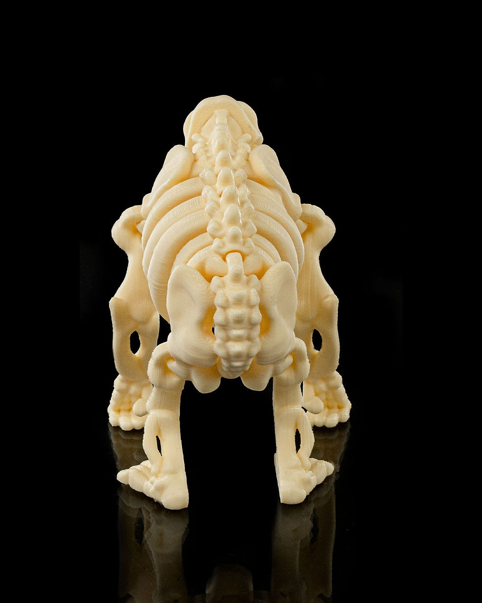 Thumbnail: Skeleton Chimp