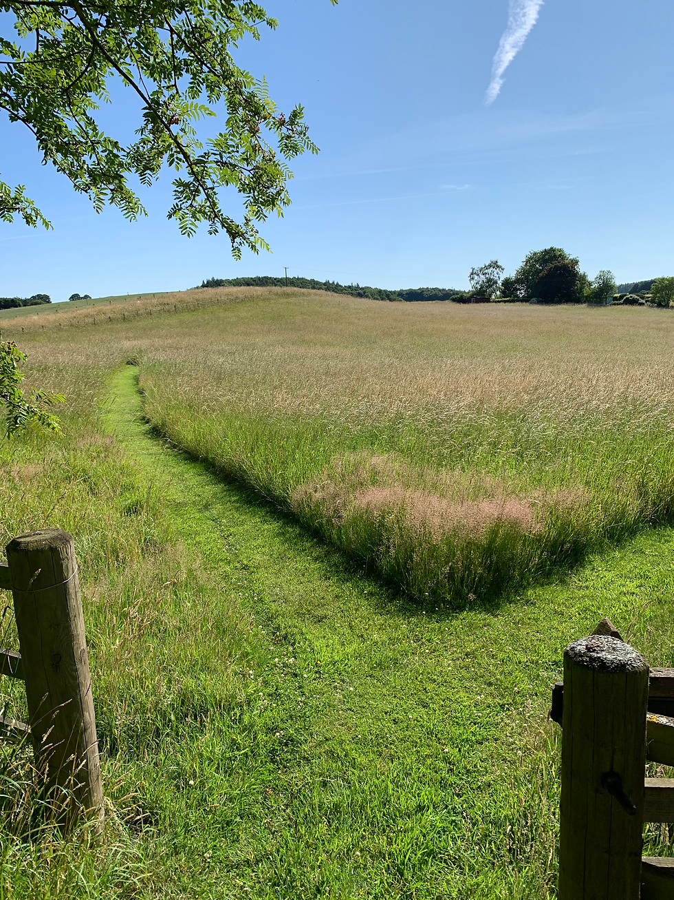 Which path to take?