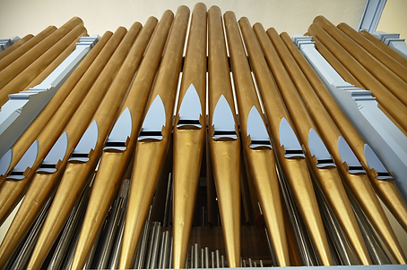 Gabriel Kneypipe Organ