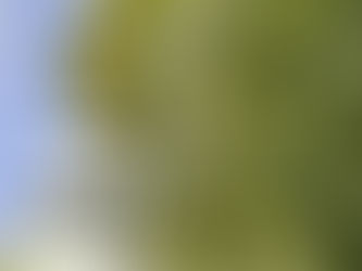 De Geschiedenis van de Watertoren in Dordrecht