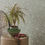 Thumbnail: Eijffinger Amber - Ornamenten