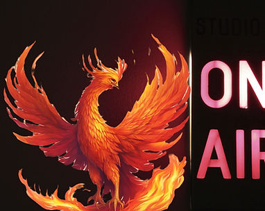 a phoenix reborn from the ashes .jpg