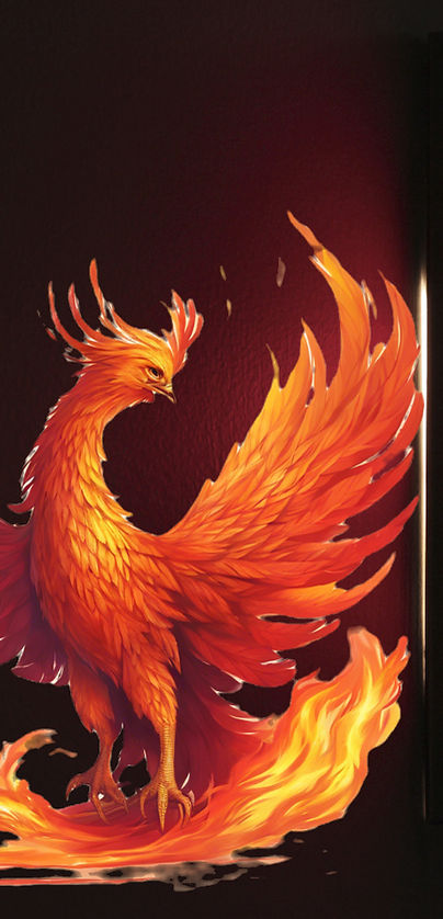 a phoenix reborn from the ashes .jpg