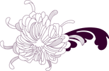 花の概要