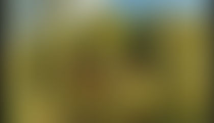 РАННЯЯ ОСЕНЬ