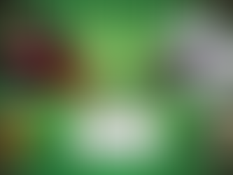 2017 Round 9 - Spartans vs Eagles