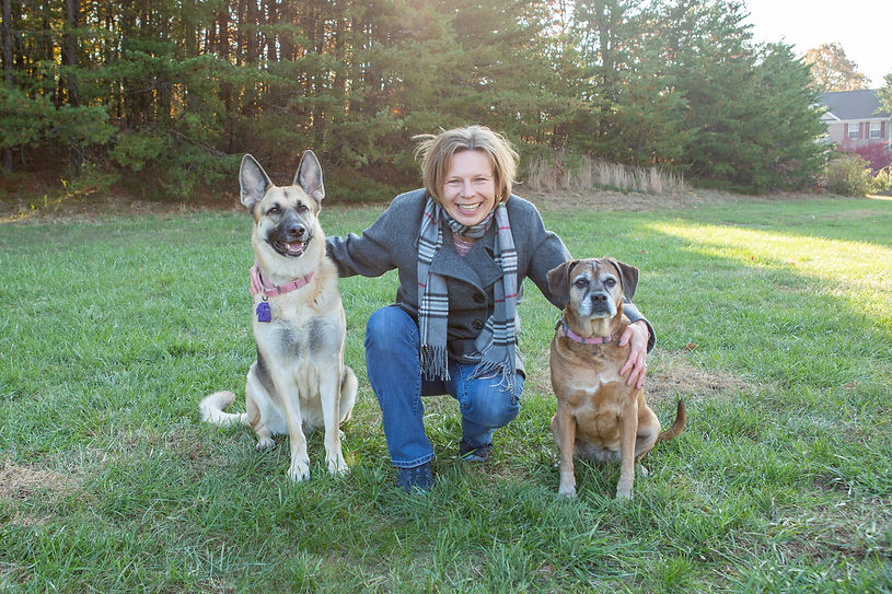field dogs3.jpg