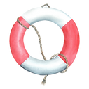 LifeRing