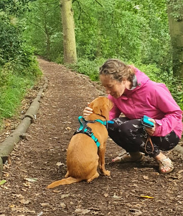 Looking after a very nervous and sensitive dog in Bingham Notinghamshire