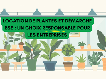 Location de plantes et démarche RSE : un choix responsable pour votre entreprise