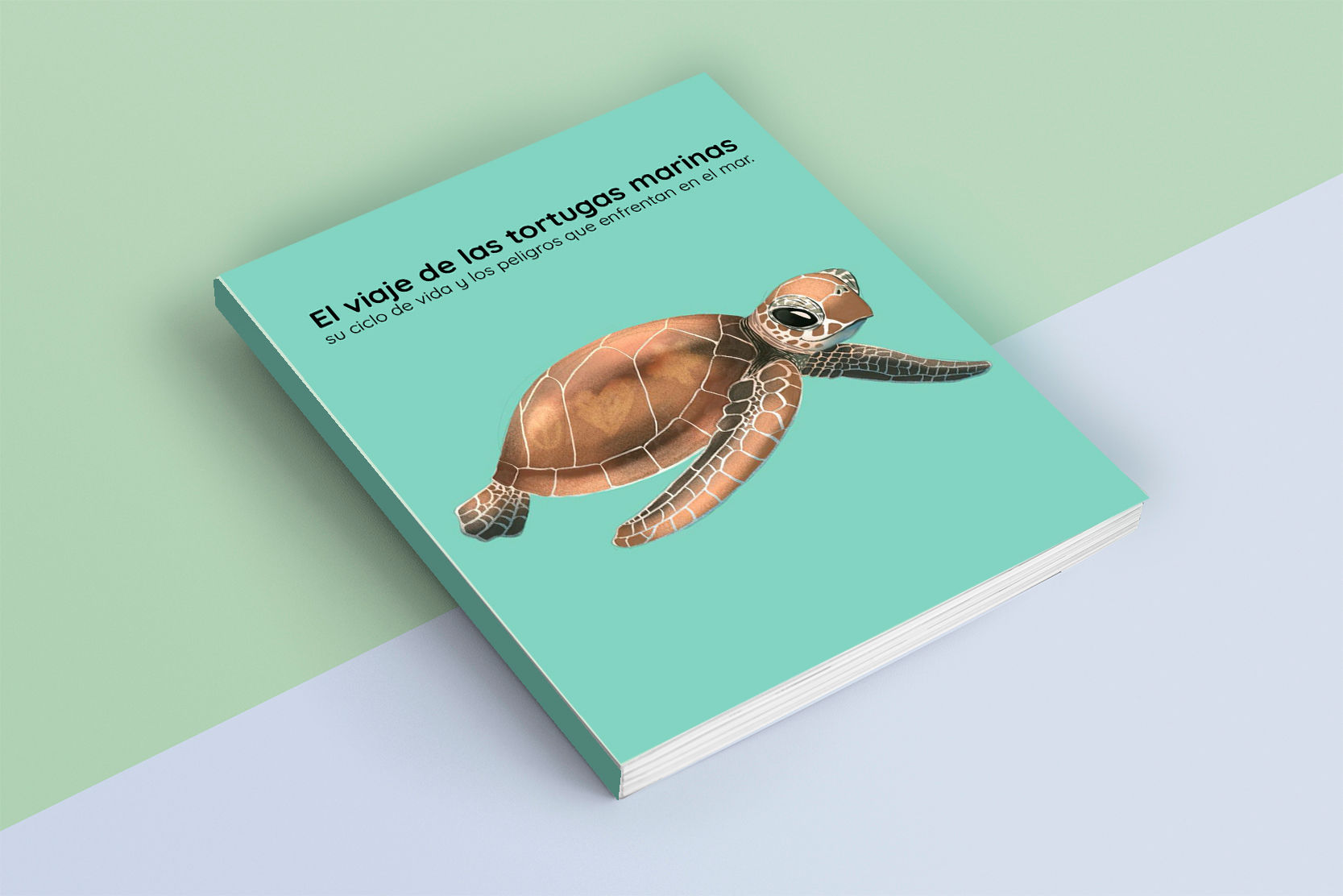 El viaje de las tortugas marinas