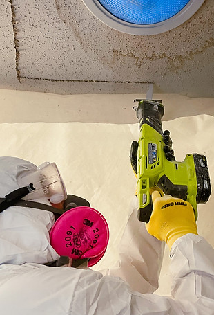 Mold Remediation
