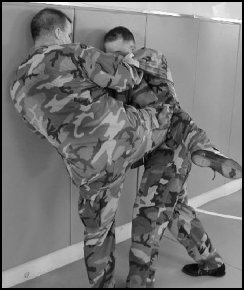 Image1107curved-knee