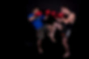 Spear Knees & Slashing Elbows (diary entry)