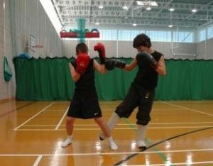low-kick