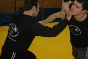 8 Defence from guard to standing8 (small)