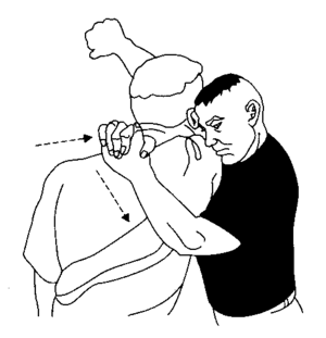 Image displaying an arm triangle choke (side c...