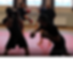 Boxing for MMA & Rubber Guard (diary entry)