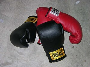 Boxing gloves
