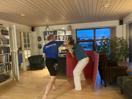 Two people practising martial arts indoors. One wears a blue shirt, the other a turquoise top. Bookshelves and a window view in the background.