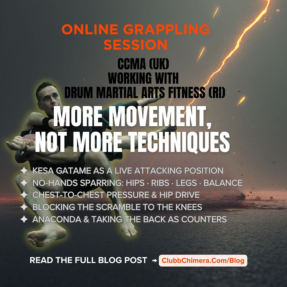 Promotional poster for an online grappling session showing a martial artist holding a leg lock over stormy water; text lists drills.