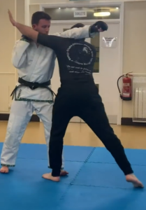 arm triangle clinch